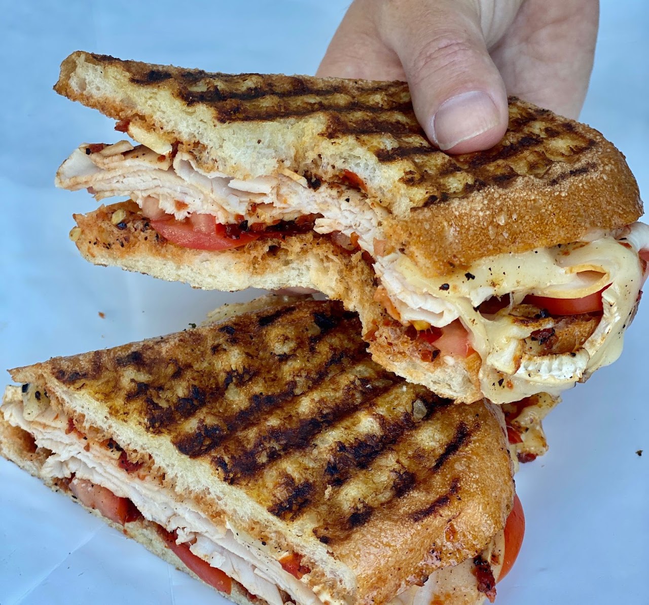 A turkey panini, pressed and sliced